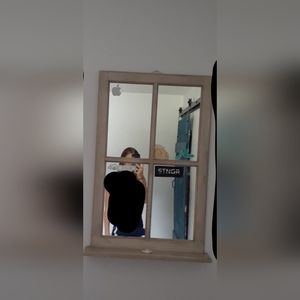 Window mirror